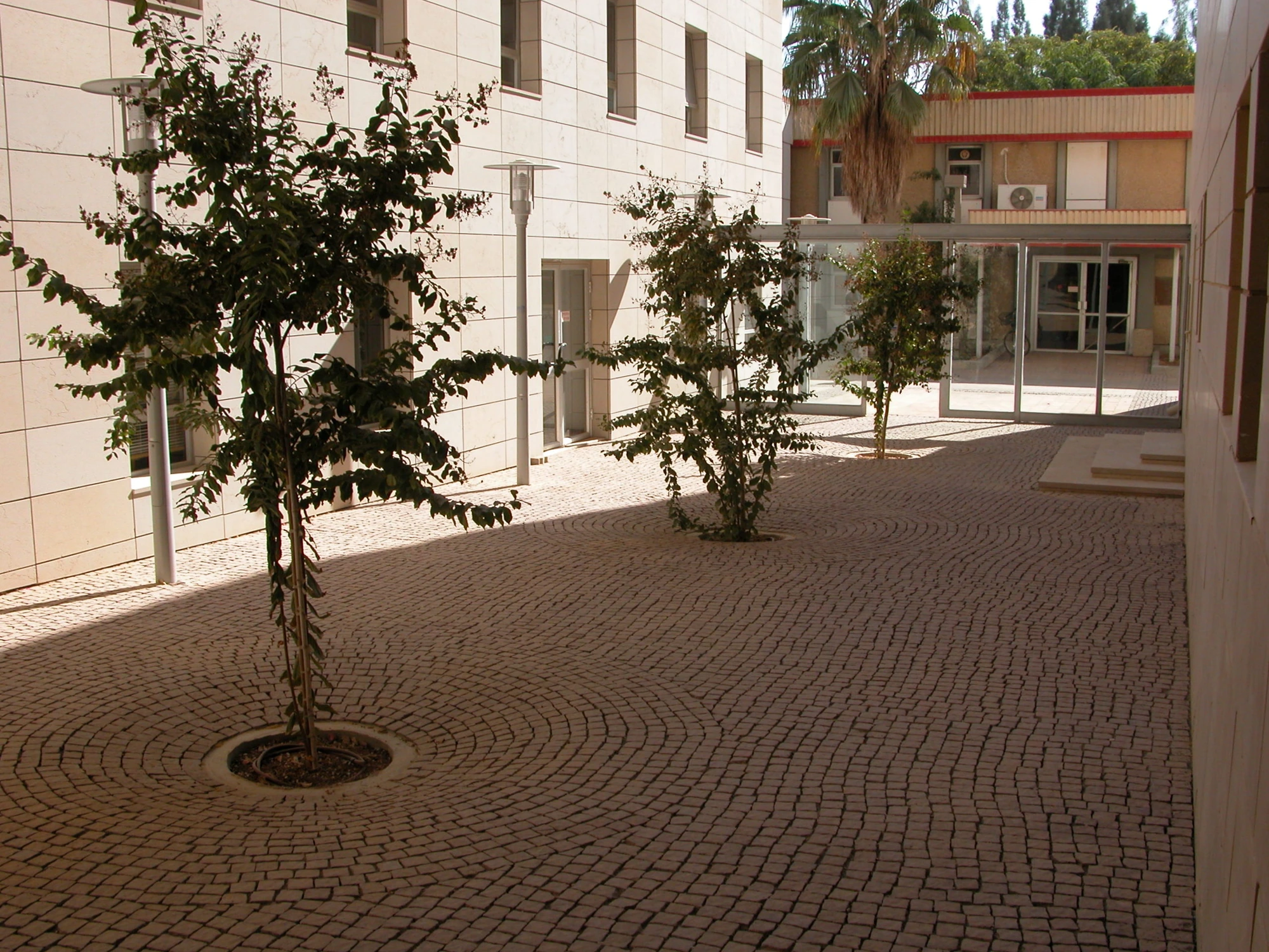 מדרשת שדה בוקר